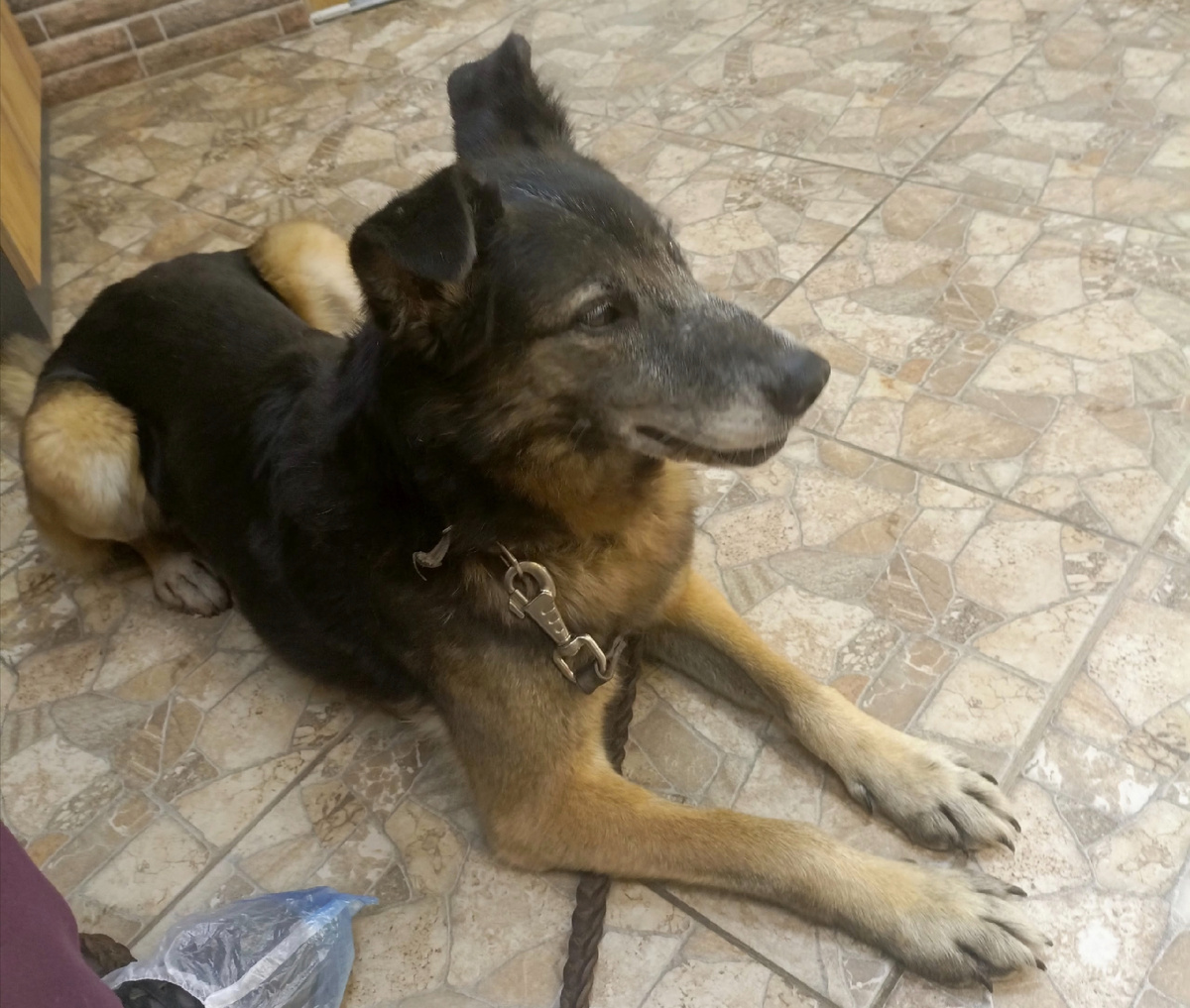 Примерная пациентка.