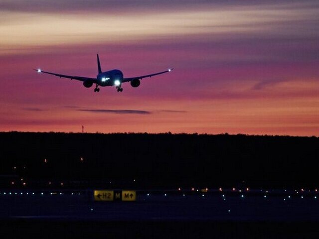   Фото: Москва 24/Никита Симонов