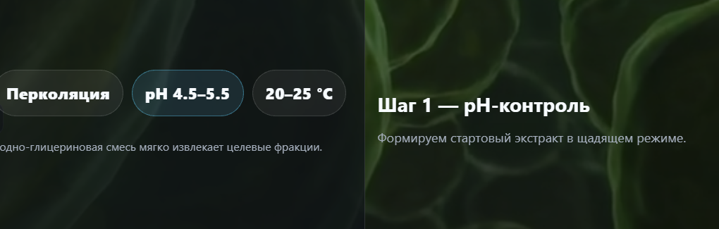 Перколяция