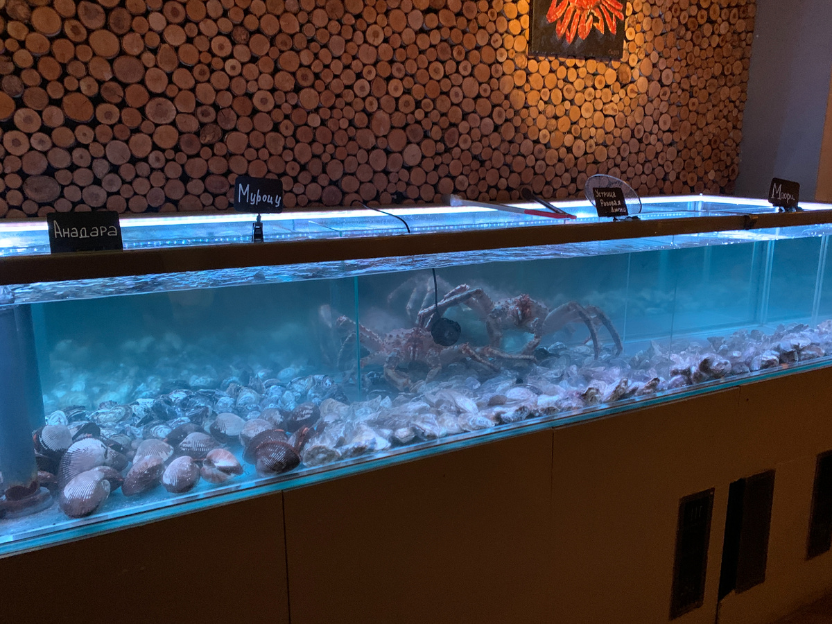 Аквариум с крабом и ракушками. Анадара в наличии!