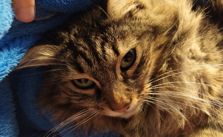    фото Курские известия