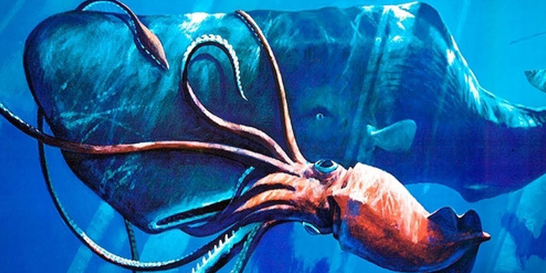 🐠 Стрёмные твари океана