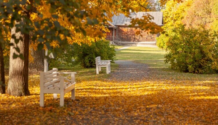    Какую роль сыграла болдинская осень в творчестве Пушкина? Фото: Музей-заповедник А. С. Пушкина «Болдино», boldinomuzey.ru