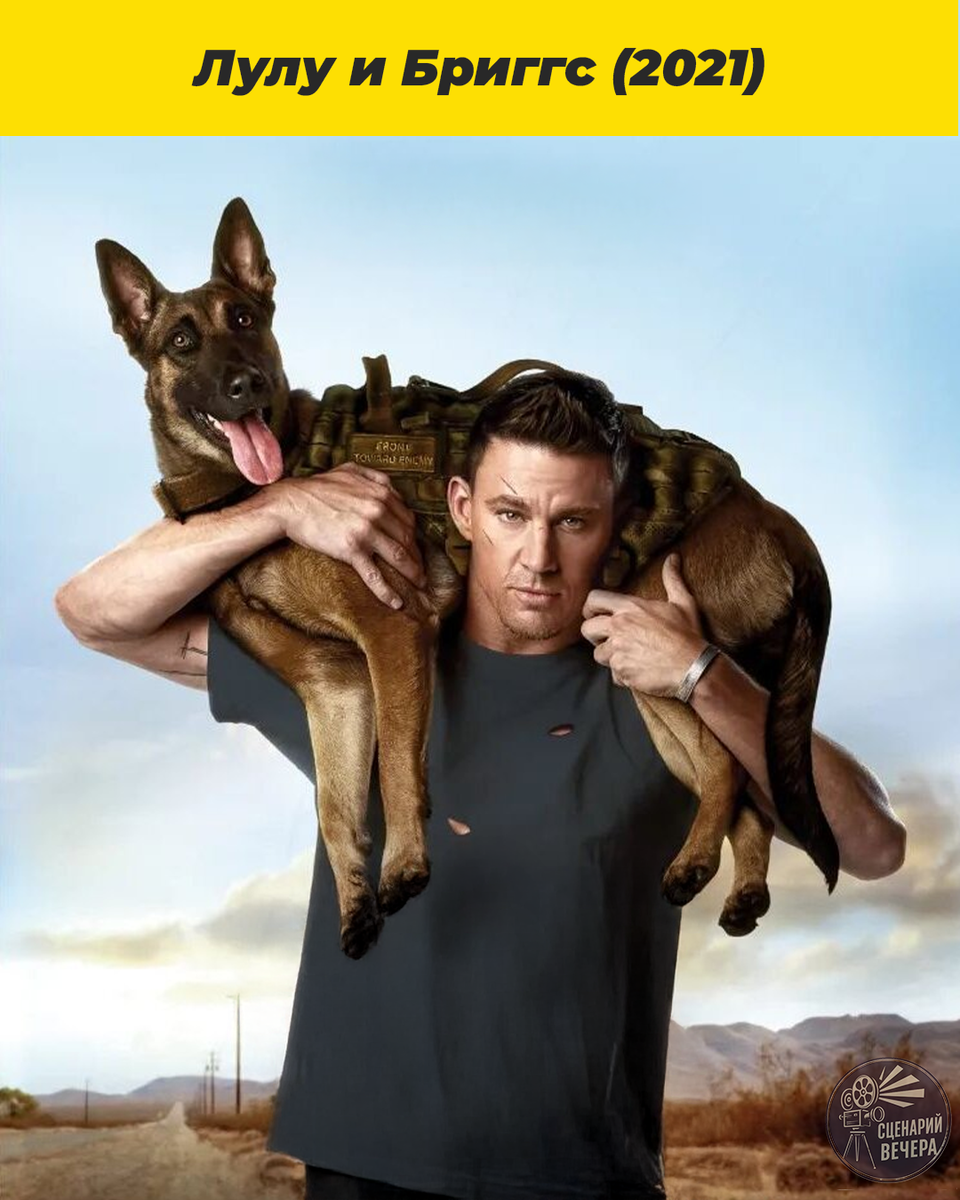 дорожное приключение и внутреннее исцеление