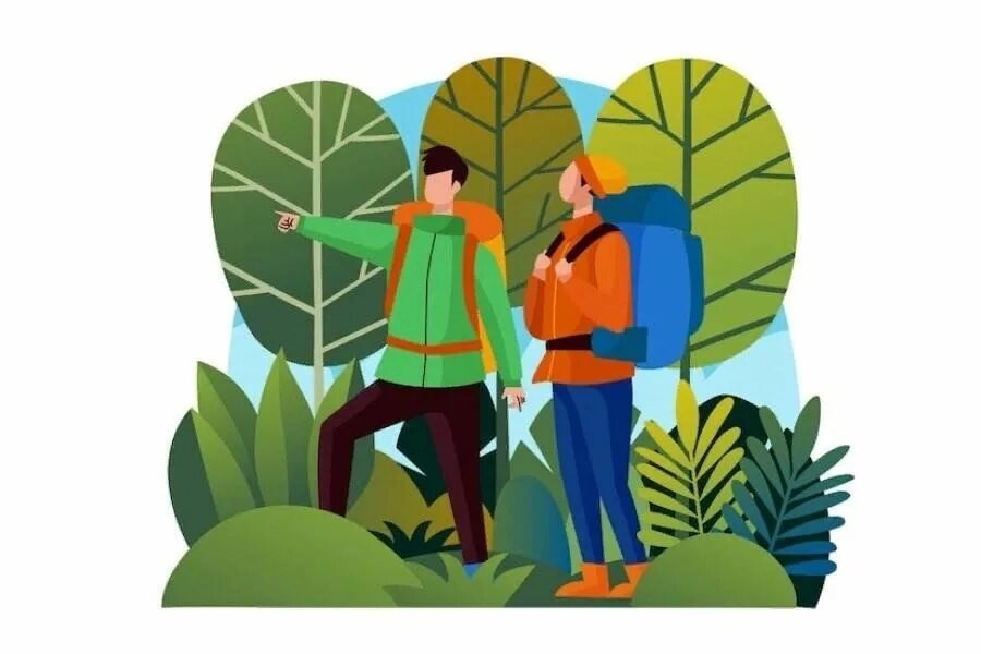 (картинка из открытого источника интернет - Яндекс)