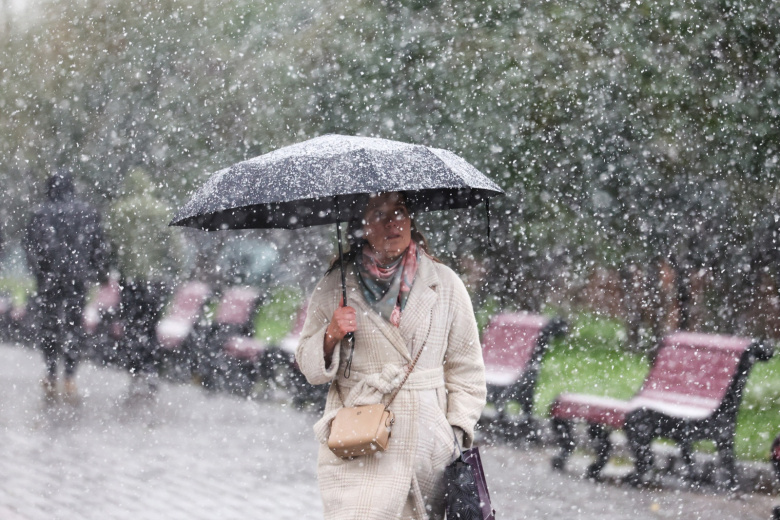    Алексей Белкин/NEWS.ru