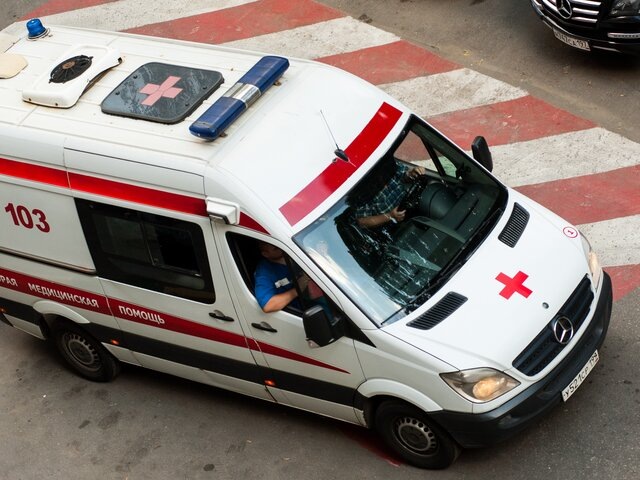    Фото: Москва 24/Игорь Иванко