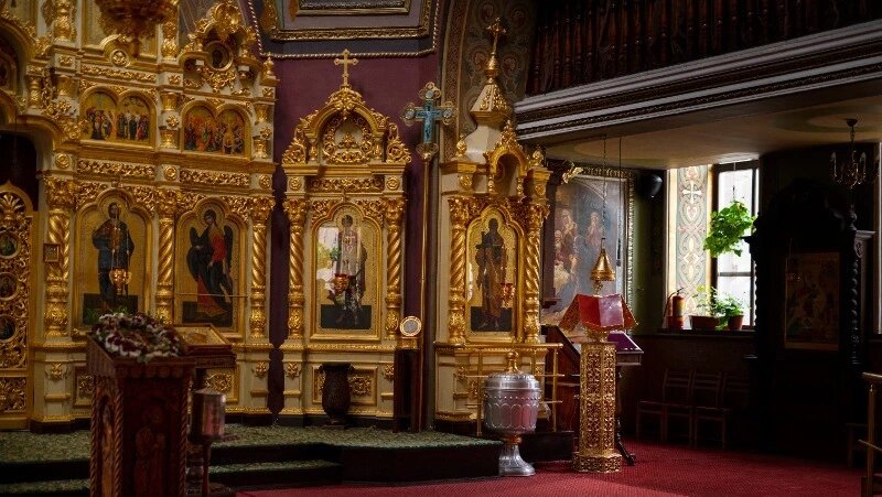      Фото: @freepik / ru.freepik.com