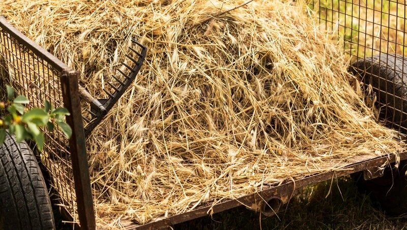     Фото: @freepik / ru.freepik.com