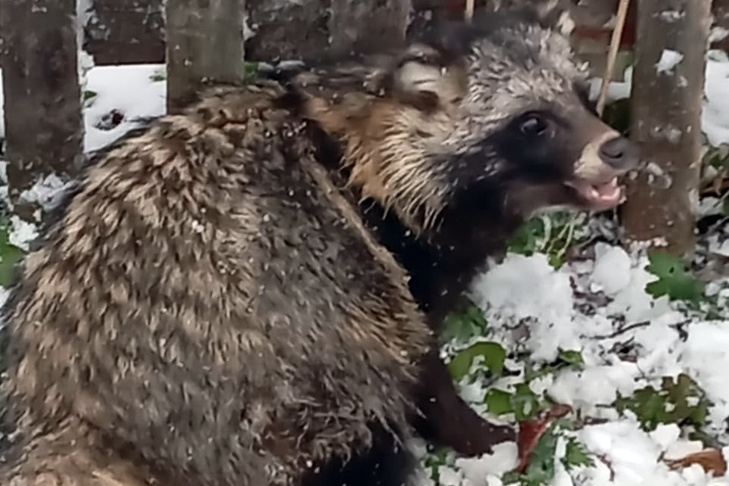 © Фото: "Чулымская газета".📷
