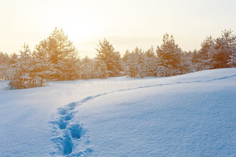 Альтернативный маршрут