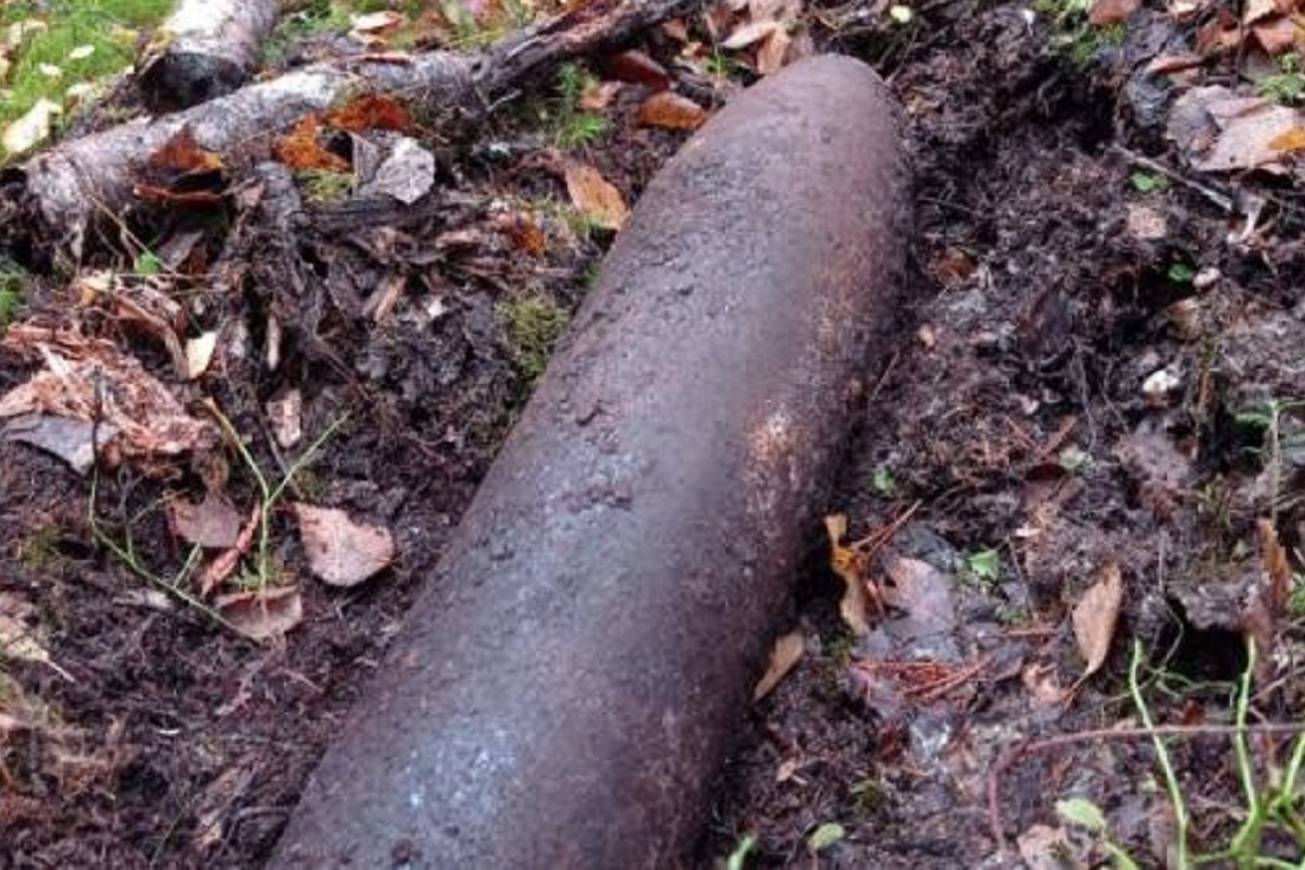    Фото: ГКУ АО «Центр гражданской защиты», источник: ВК