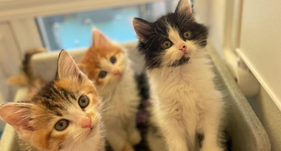    Cover Images/Keystone Press Agency / www.globallookpress.com