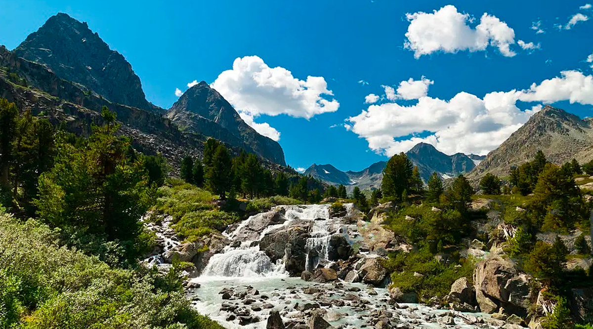 Природа Алтая