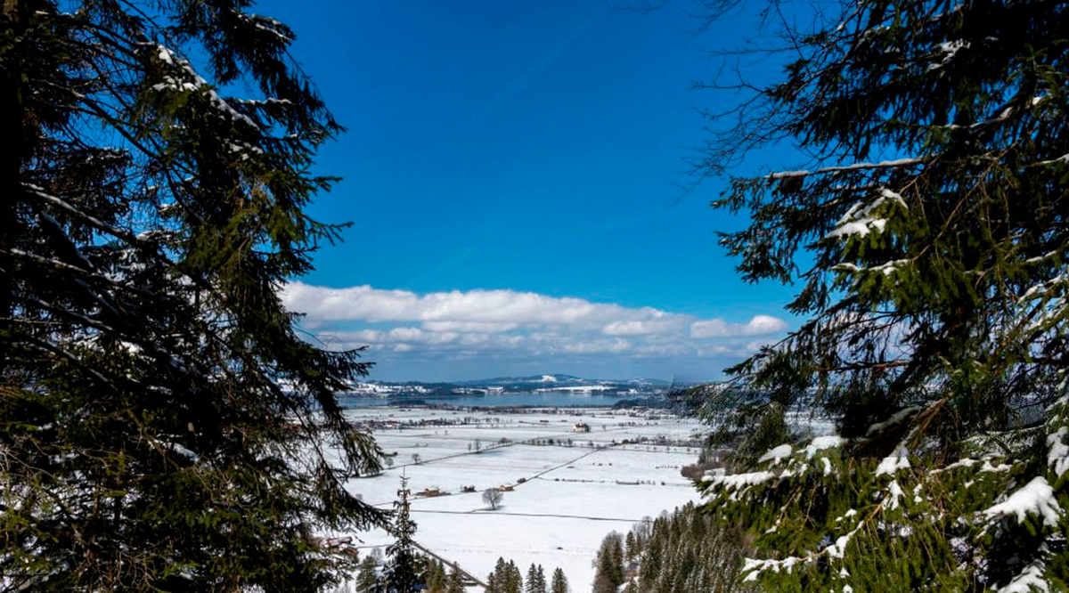 Природа Алтая