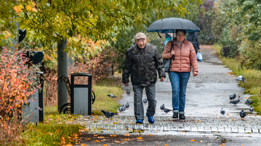    Фото: ИЗВЕСТИЯ/Константин Кокошкин