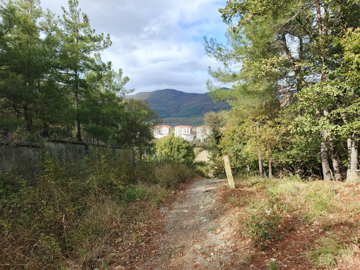    «Аномальное тепло вернется, но с сюрпризом». Синоптики сказали, что скоро будет