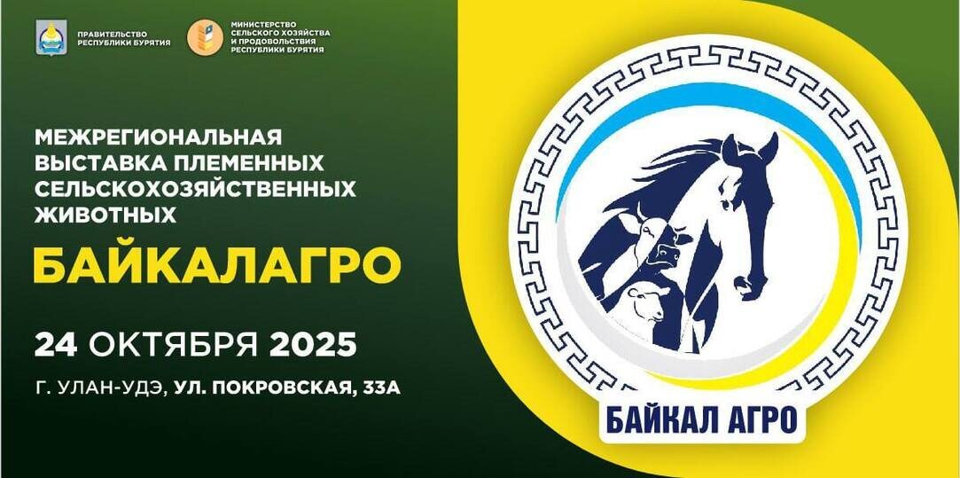     Фото: пресс-служба правительства Бурятии.