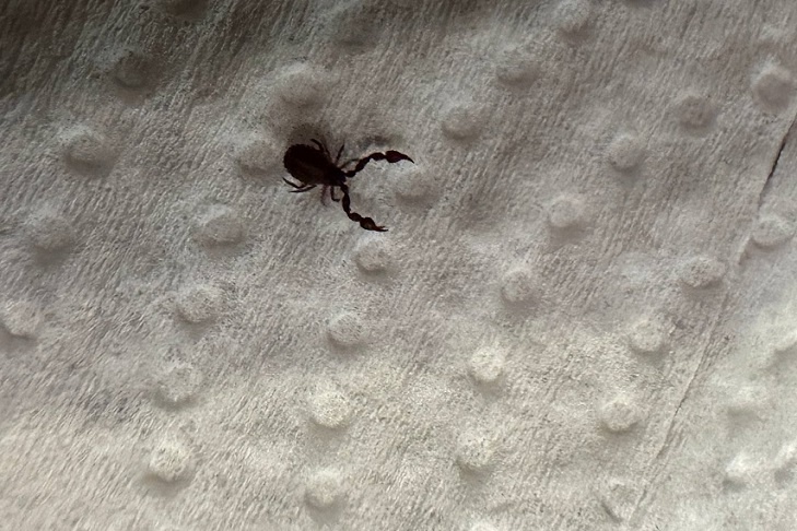    Фото и видео ТГ-канала «Дзержинский район. Новосибирск».