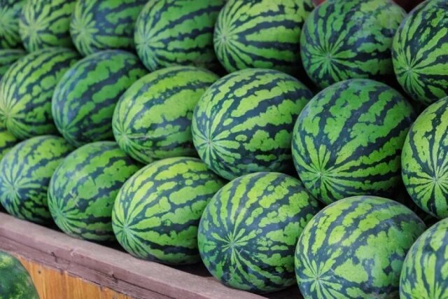    К чему снится арбуз?