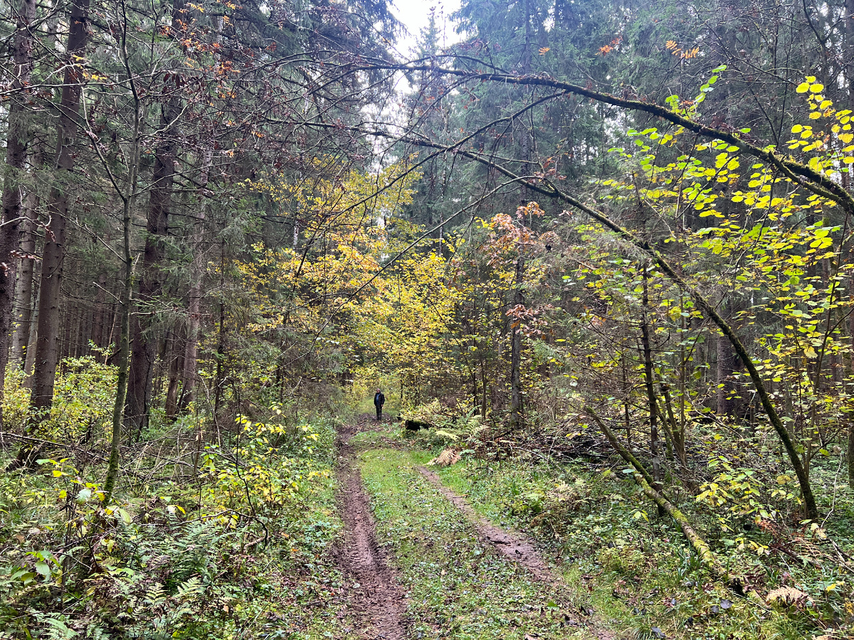 Фото автора. 12.10.25