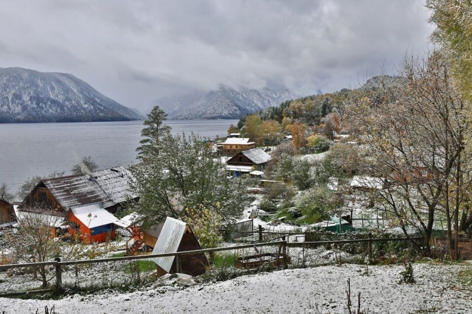    Осенний снег на побережье Телецкого озера. Источник: Александр Лотов / Алтайский заповедник