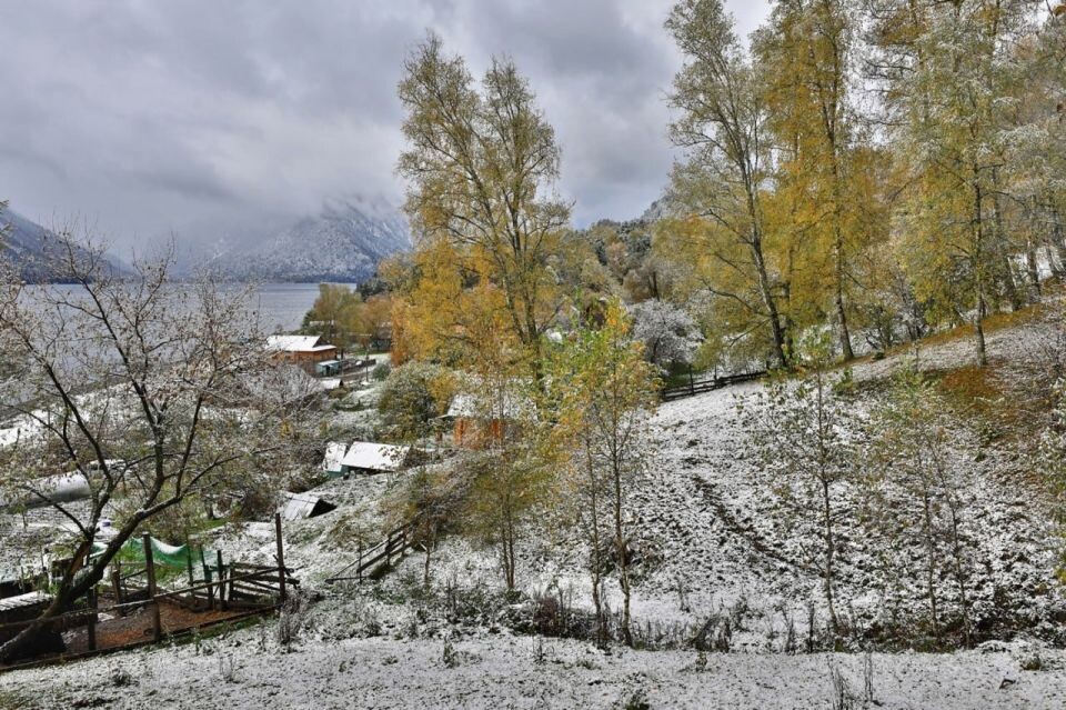    Осенний снег на побережье Телецкого озера. Источник: Александр Лотов / Алтайский заповедник