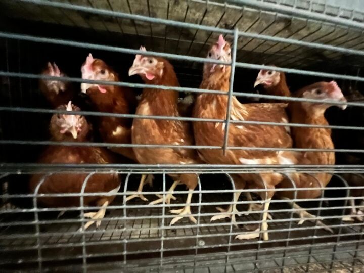    Фото:Екатерина Подпенко