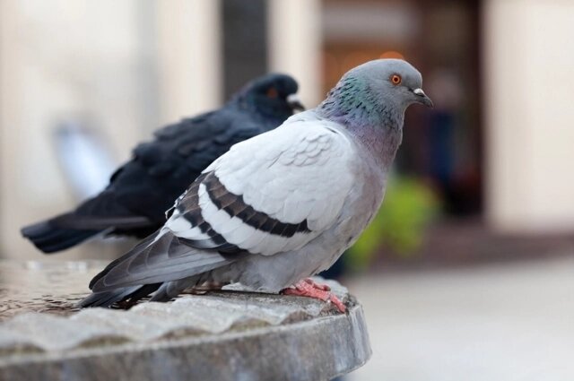    Фото: istockphoto.com