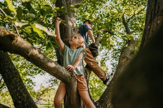    Для мужчины дерево может символизировать внутренний стержень, чувство долга, зрелость, связь с отцовской фигурой. Фото: istockphoto.com