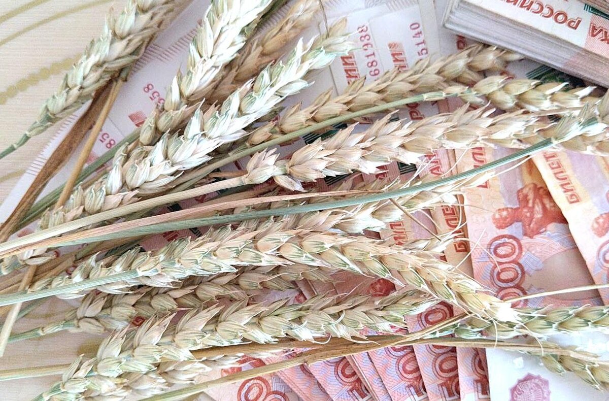 Фото: АПК Новости