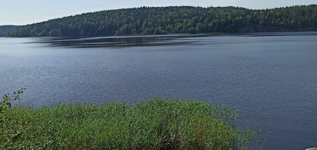 Кирьявалахти