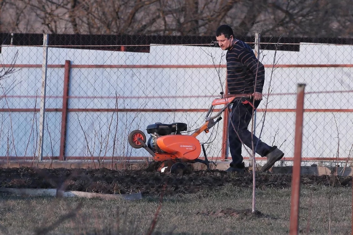    Фото: Виталий Белоусов, источник РИА Новости