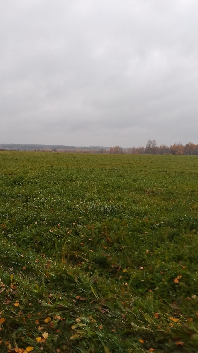 Территория "Марий эл", когда выезжали из деревни.