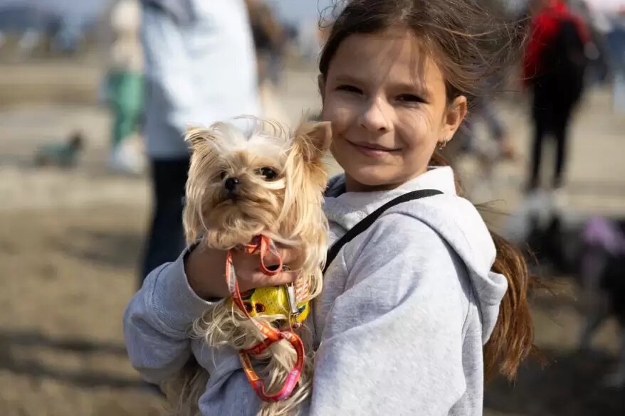    Источник фото: