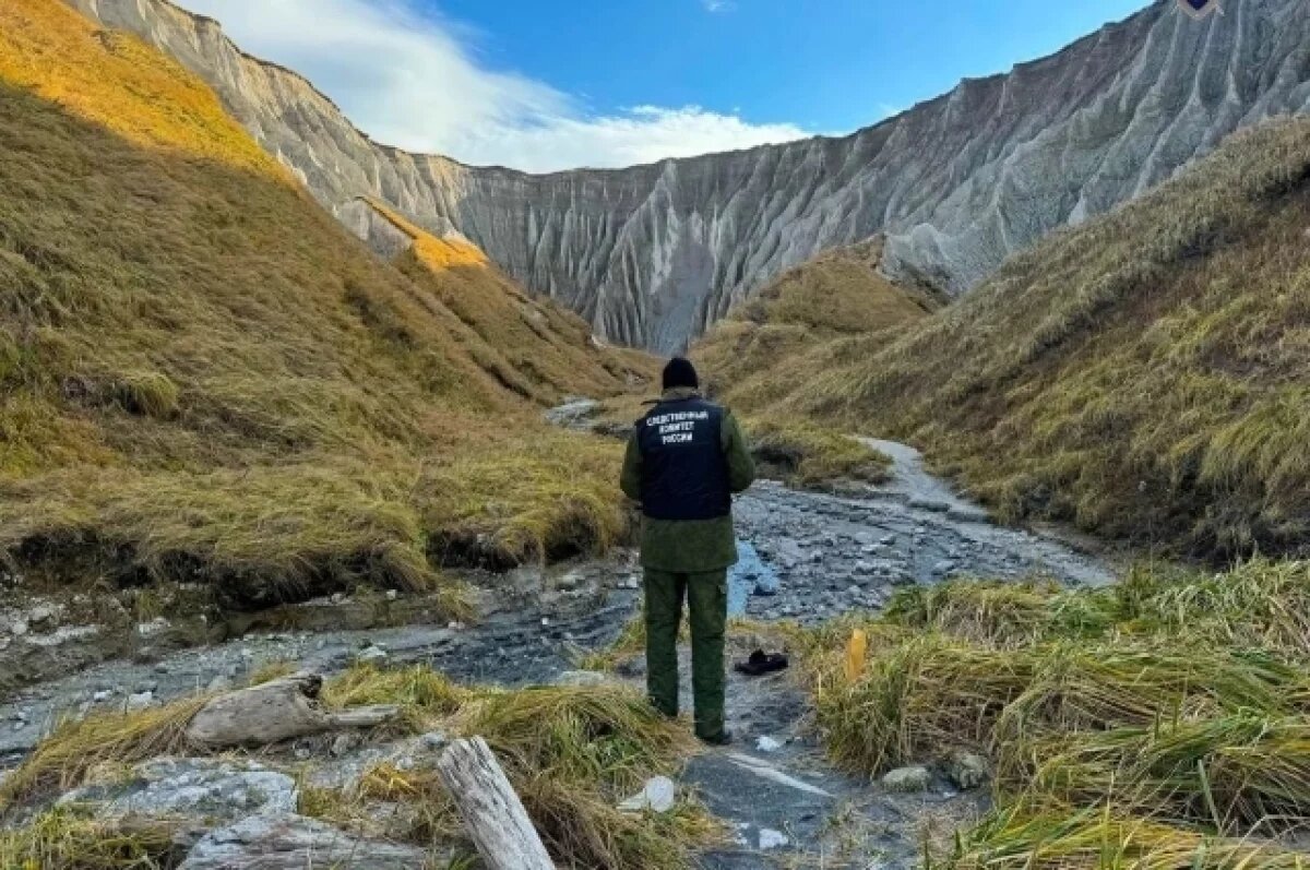    На Сахалине экскурсоводу вынесли приговор за нападение медведя на туриста