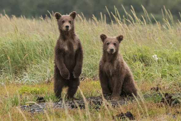     Anthony Renovato/Unsplash