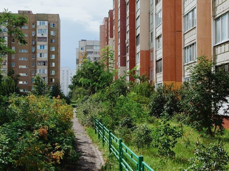     Фото: МК в Пензе