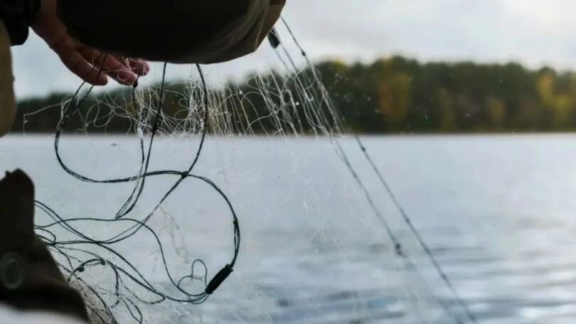    Фото: Ahaltekin4ik/Shutterstock/Fotodom