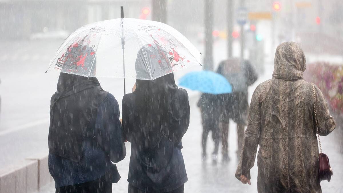    Фото: Ярослав Чингаев / АГН Москва