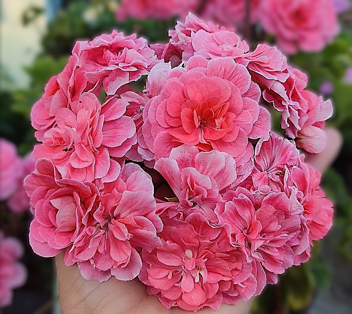 из открытых источников