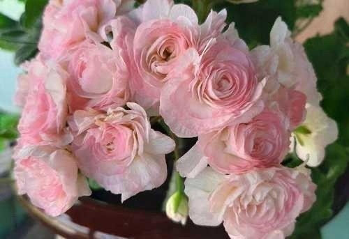 из открытого досттупа