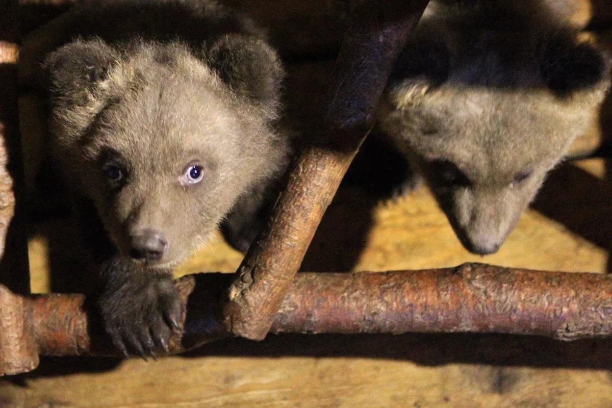    Фото: Михаил Фомичев, источник: РИА Новости