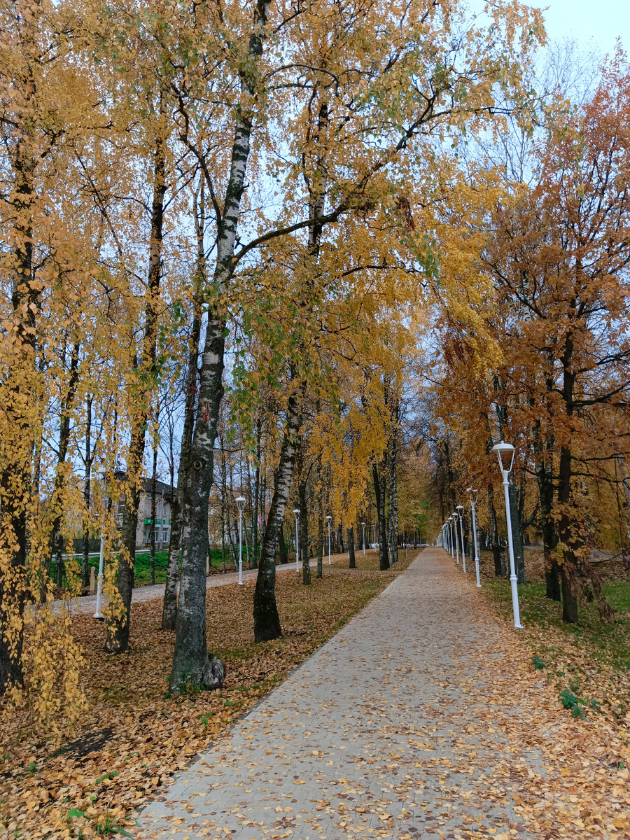 Осеннее утро