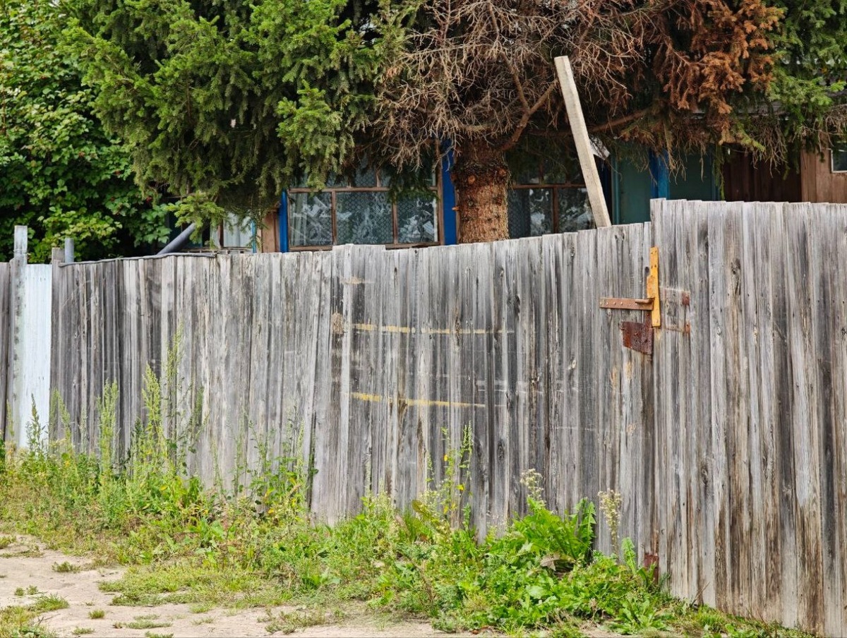 Последствия наводнения в СНТ "Ясная поляна" Фото: Жительница СНТ "Ясная поляна" Наталья Сапожникова