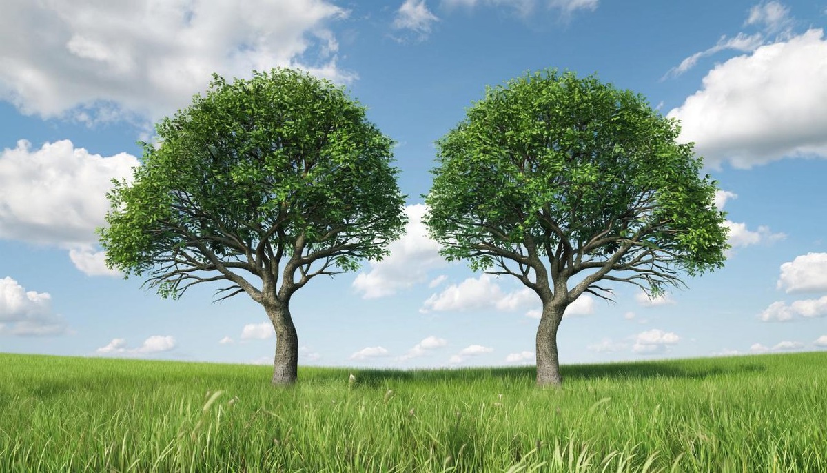 День для того, чтобы действовать, начинать новые проекты и проявляться со всей силы