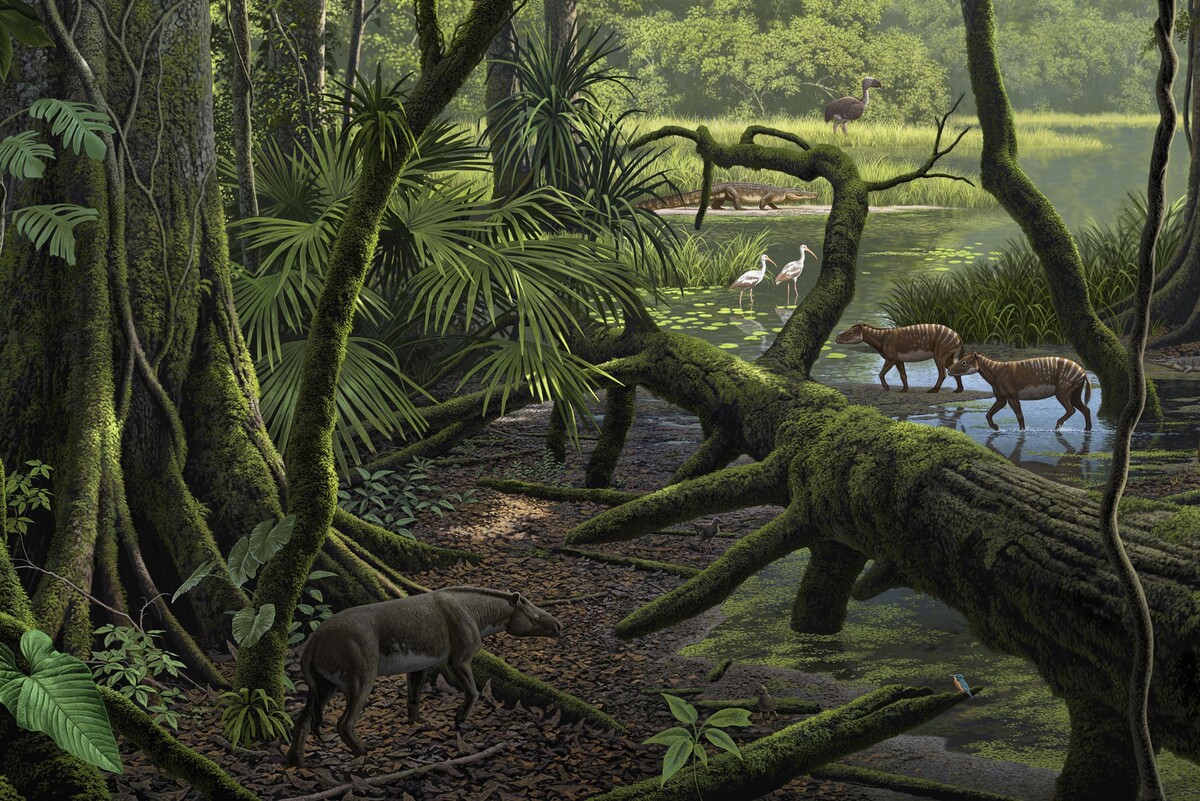 Природа палеоцена.