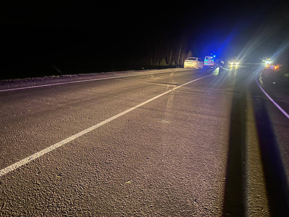     Фото: ГИБДД Челябинской области