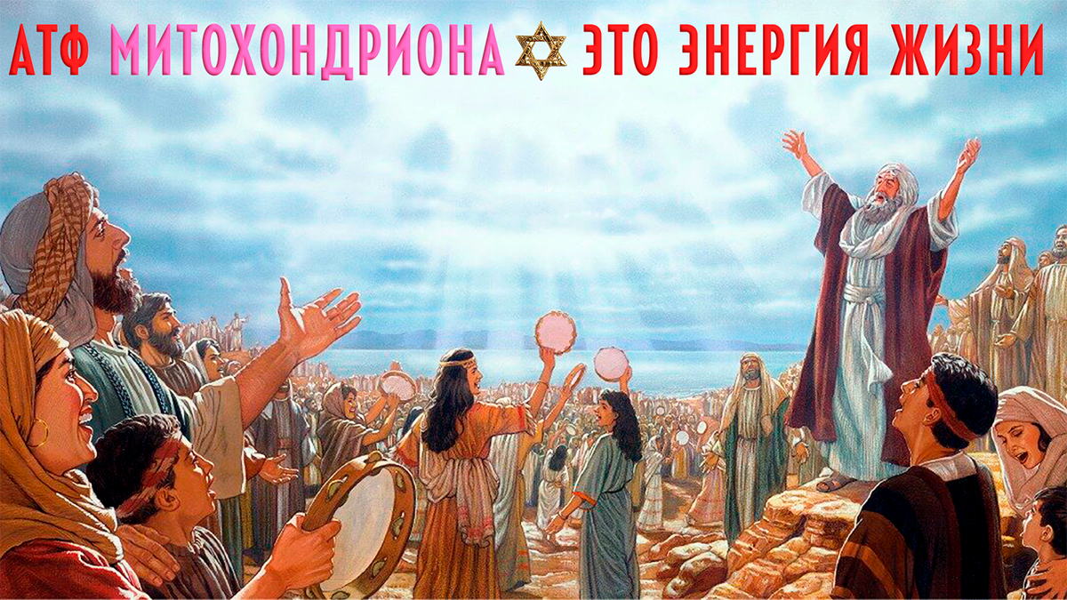 Люди радуются Энергии Жизни у горы Сион
