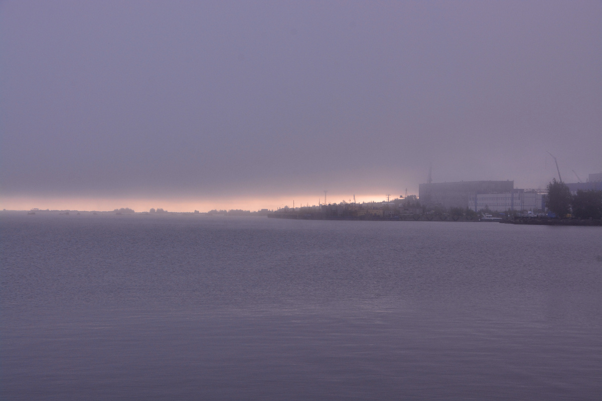 Туманное утро